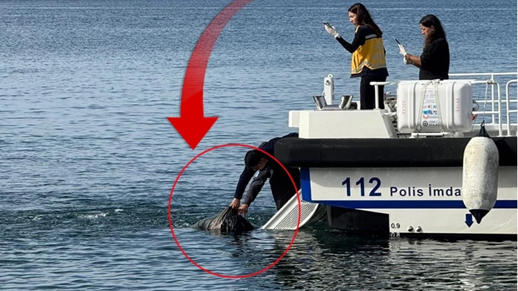 Erdek Sahilinde Erkek Cansız Bedeni Bulundu Erdek Sahilinde Erkek Cansız Bedeni Bulundu