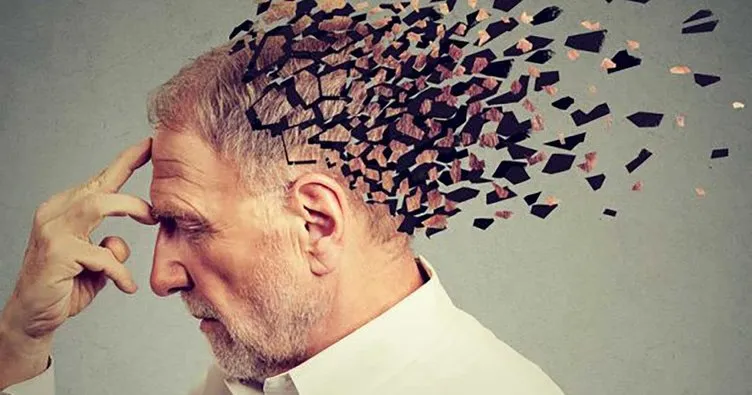 Alzheimer Tedavisinde: Deve ve Lama Kanından Elde Edilen Moleküller İnceleniyor