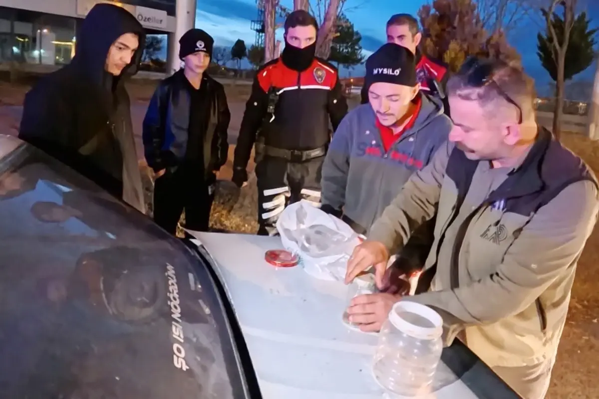 Aksaray’da Yasaklı Akrep Satışı: Zehrinin Litresi 10 Milyon Dolar