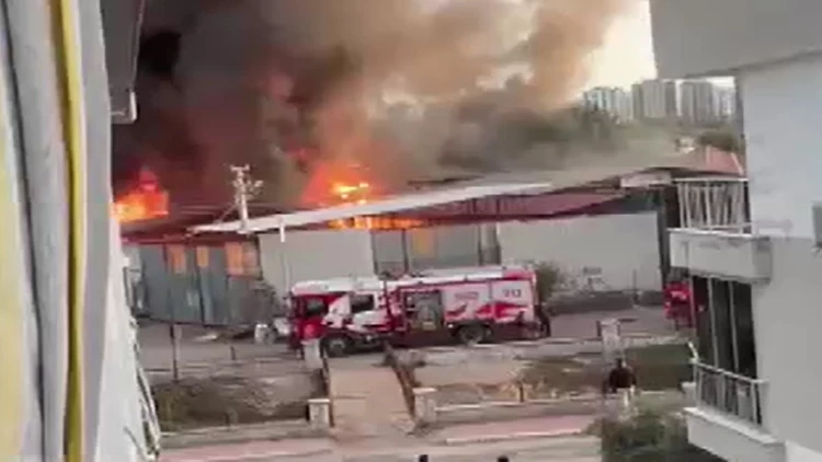Antalya’da Mobilya Atölyesinde Yangın: Makineler Kül Oldu, Zarar 10 Milyon TL
