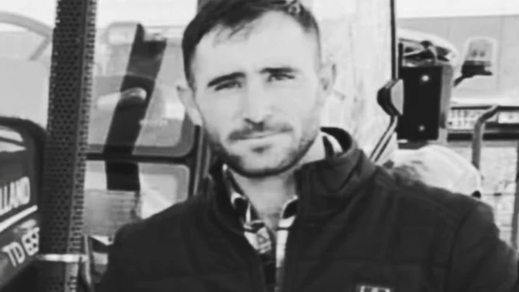 Ekili Araziden Geçen Hayvanlar Tartışmaya Neden Oldu Ekili Araziden Geçen Hayvanlar Tartışmaya Neden Oldu