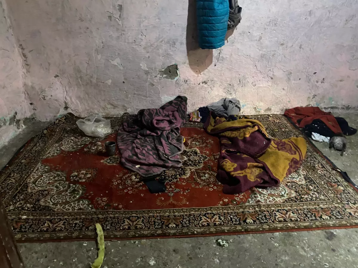 Kümesin İçinden Gelen Sessiz Çığlık: 3 Kardeşin Yaşam Mücadelesi Ortaya Çıktı
