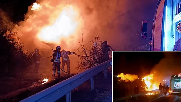 Hatay’da Angus Yüklü TIR Alev Aldı: 2 Kişi Yaşamını Yitirdi, Hayvanlar Yola Saçıldı