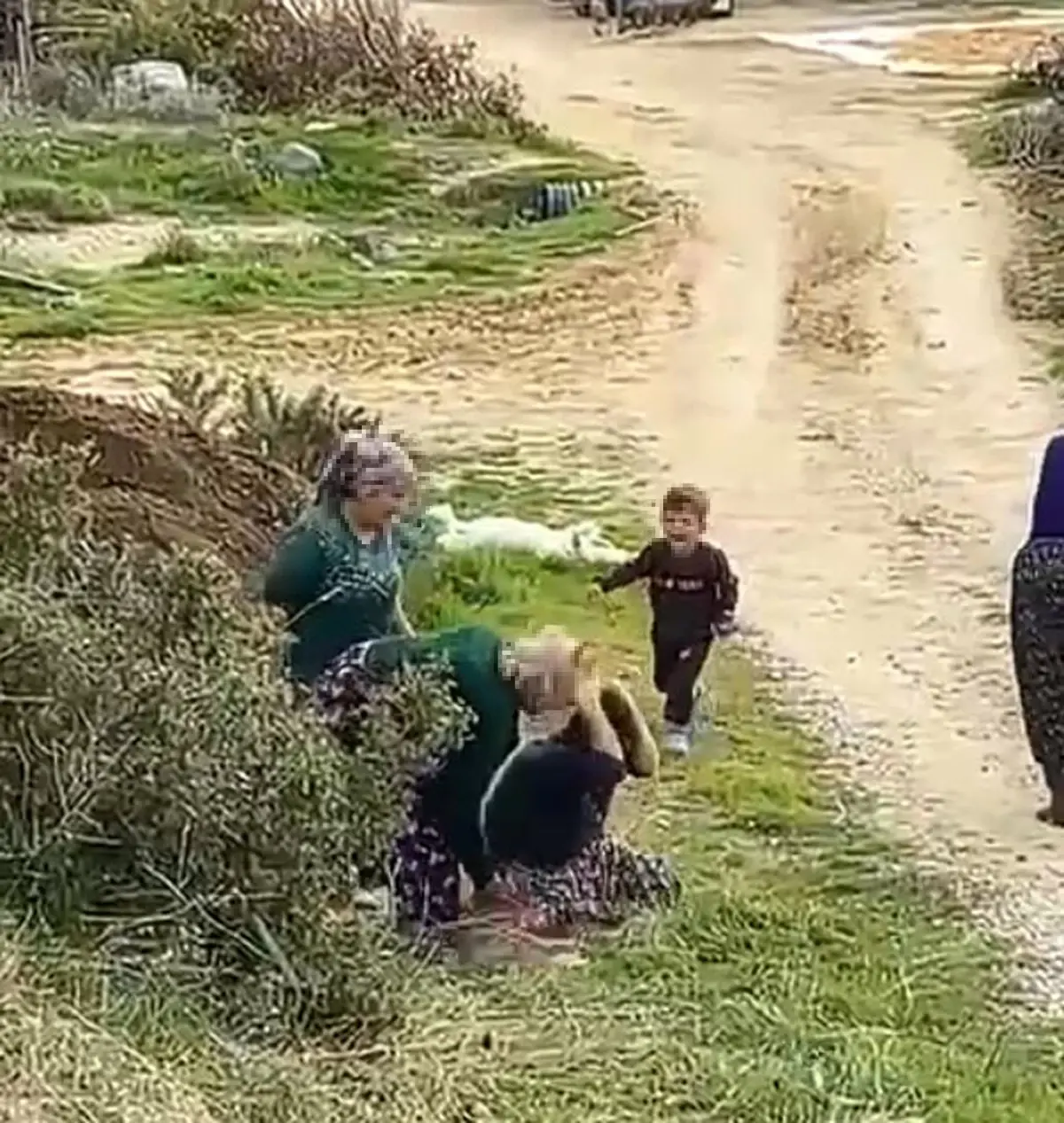 Manisa’da Arazi Tartışması Kavgaya Dönüştü: Kadın, Oğlunun Gözleri Önünde Darbedildi