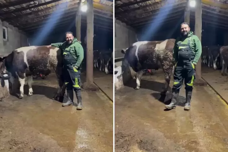 Tosunuyla Video Çekip Asgari Ücreti Kıyasladı Sosyal Medyada Tepki Yağdı