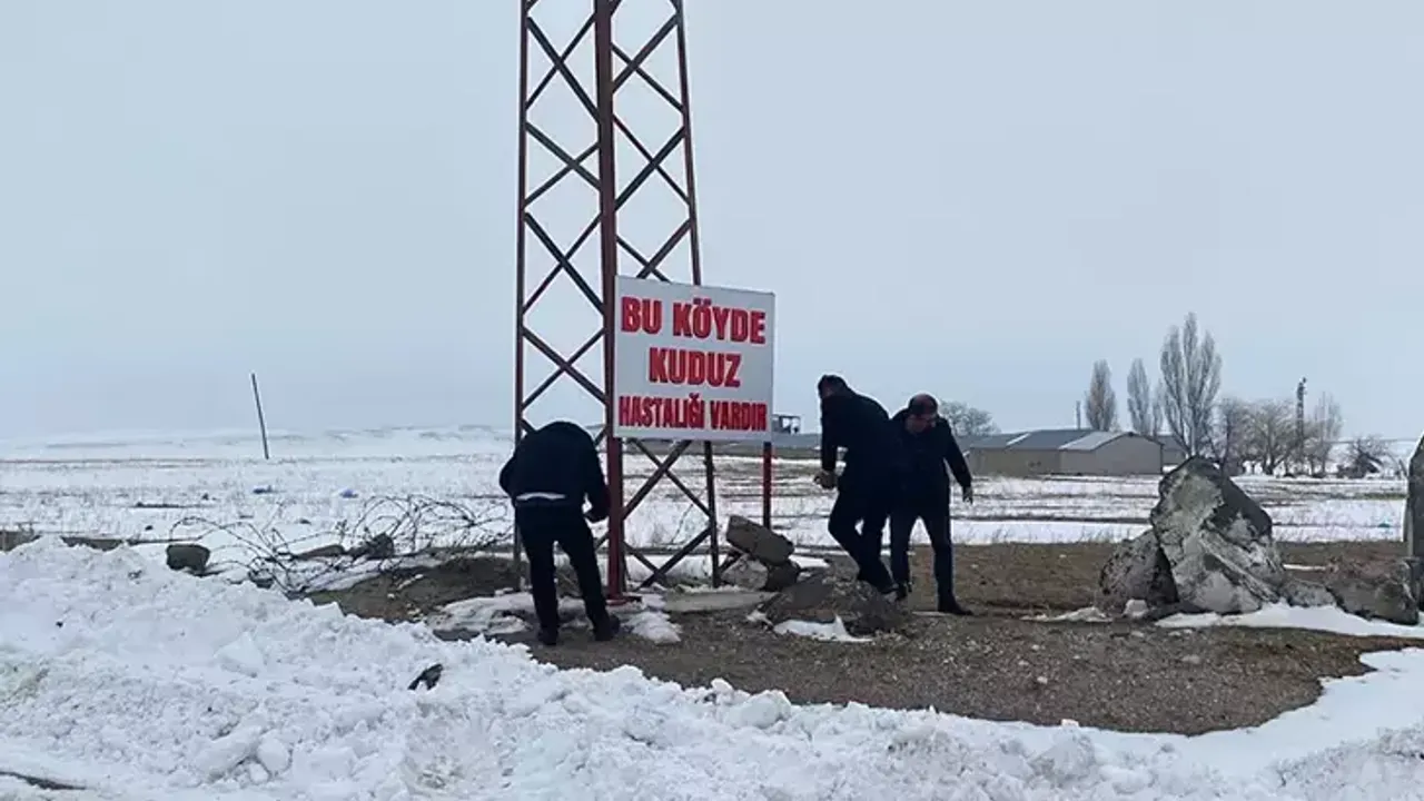 Bitlis Adilcevaz’da Kuduz Tespit Edilen Köy Karantinaya Alındı Bitlis Adilcevaz’da Kuduz Tespit Edilen Köy Karantinaya Alındı