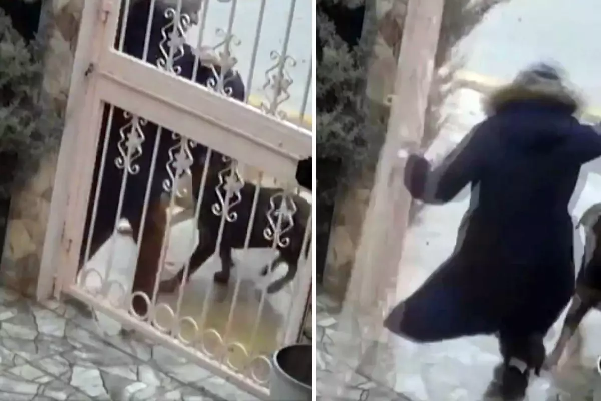 Ankara’da Sahipsiz Köpeklerin Saldırdığı Kadını Komşusu Kurtardı Ankara’da Sahipsiz Köpeklerin Saldırdığı Kadını Komşusu Kurtardı
