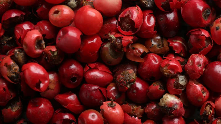 Kuşburnu C Vitamini Deposu: Soğuk Günlerde Doğal Destek Kuşburnu C Vitamini Deposu: Soğuk Günlerde Doğal Destek
