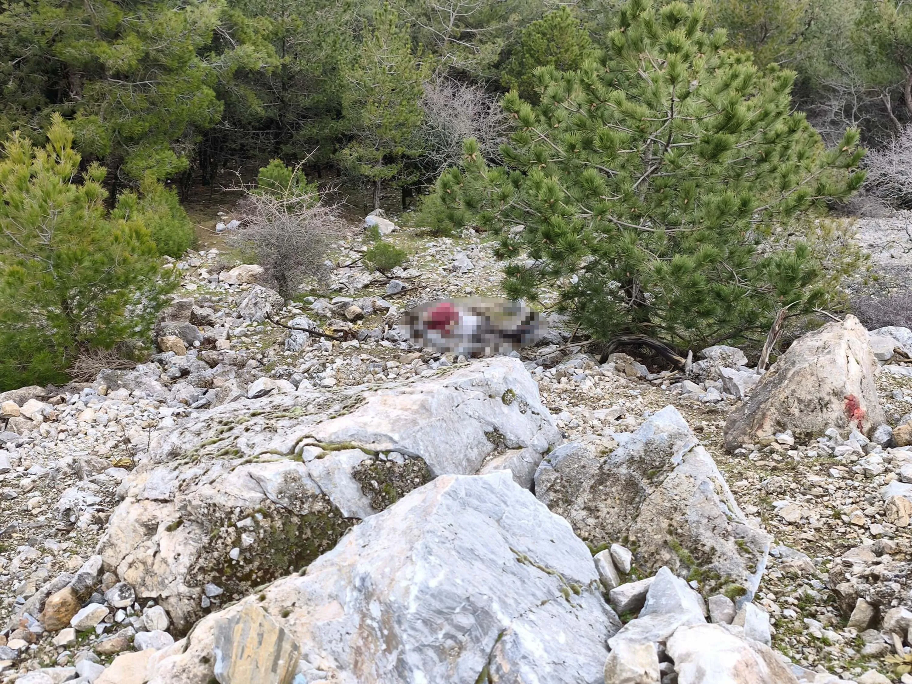 Aydın’da Uçurumda Bulunan Kişinin Ölümüyle İlgili Eşi Ve Oğlu Dahil 9 Gözaltı Aydın’da Uçurumda Bulunan Kişinin Ölümüyle İlgili Eşi Ve Oğlu Dahil 9 Gözaltı