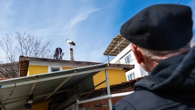 Bursa’da Yaren Leylek Bekleniyor Eşi Nazlı Köye Döndü Bursa’da Yaren Leylek Bekleniyor Eşi Nazlı Köye Döndü