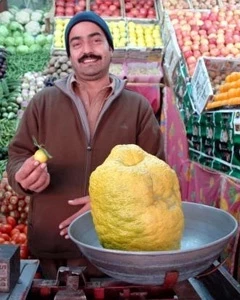 Dünyanın En Ağır Limonu Yaklaşık Kaç Kilogramdır?