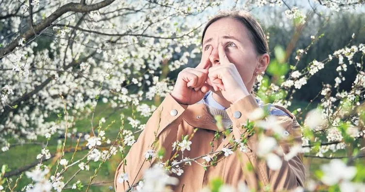 Polen Mevsimi Başladı Alerji Riski Artıyor Polen Mevsimi Başladı Alerji Riski Artıyor