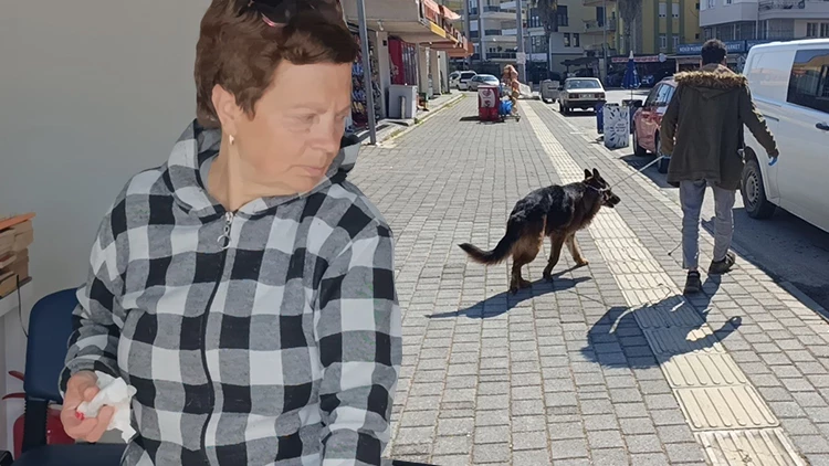 Manavgat’ta Köpek Kavgası Dehşeti Sahibini Isıran Köpek Parmağını Parçaladı