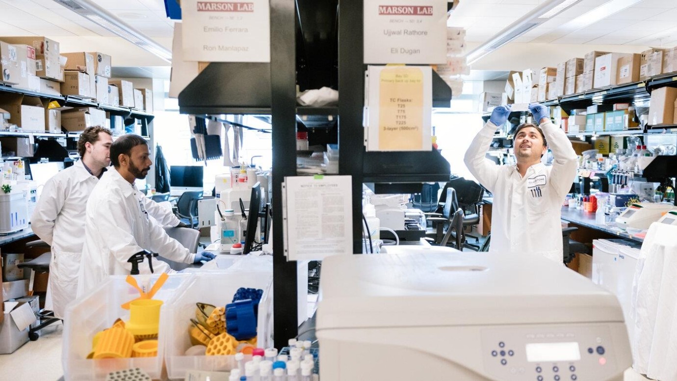 HIV’in İnsan Hücreleriyle Etkileşimi İlk Kez Kapsamlı Şekilde Haritalandı HIV’in İnsan Hücreleriyle Etkileşimi İlk Kez Kapsamlı Şekilde Haritalandı