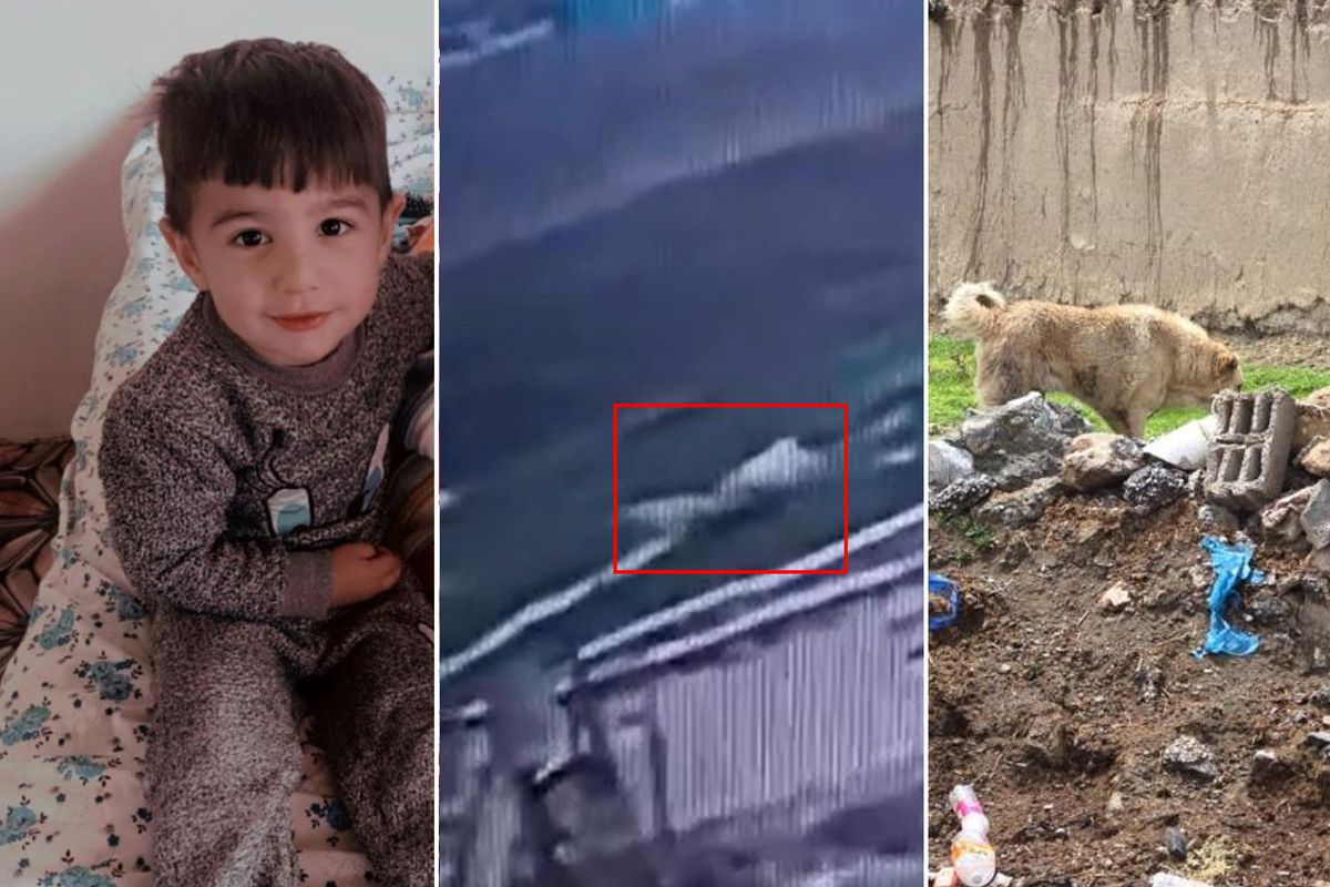 Van Saray’da Köpek Saldırısında Hayatını Kaybeden 5 Yaşındaki Hamza Toprağa Verildi