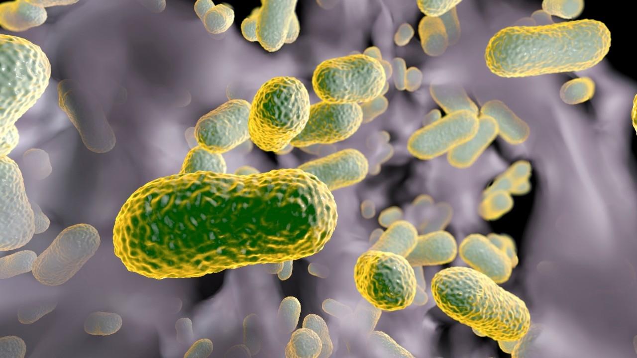 Penn Üniversitesi’nden Antibiyotik Geliştiren Yapay Zeka: ApexGO