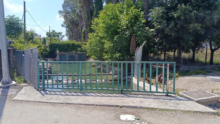 Adana’da Bıçaklı Ve Satırlı Kavgada 1 Kişi Hayatını Kaybetti Adana’da Bıçaklı Ve Satırlı Kavgada 1 Kişi Hayatını Kaybetti