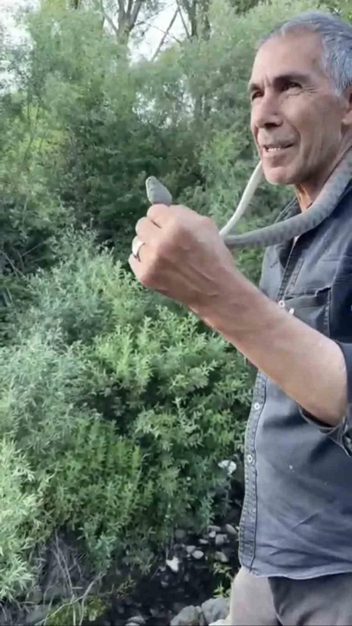 Bingöl'de Engerek Yılanını Eliyle Yakaladı: "Sakın Benim Yaptığımı Yapmayın" Bingöl'de Engerek Yılanını Eliyle Yakaladı: "Sakın Benim Yaptığımı Yapmayın"