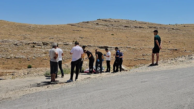 Şanlıurfa'da Boş Arazide Bulunan Cesedin Nedeni Belli Oldu