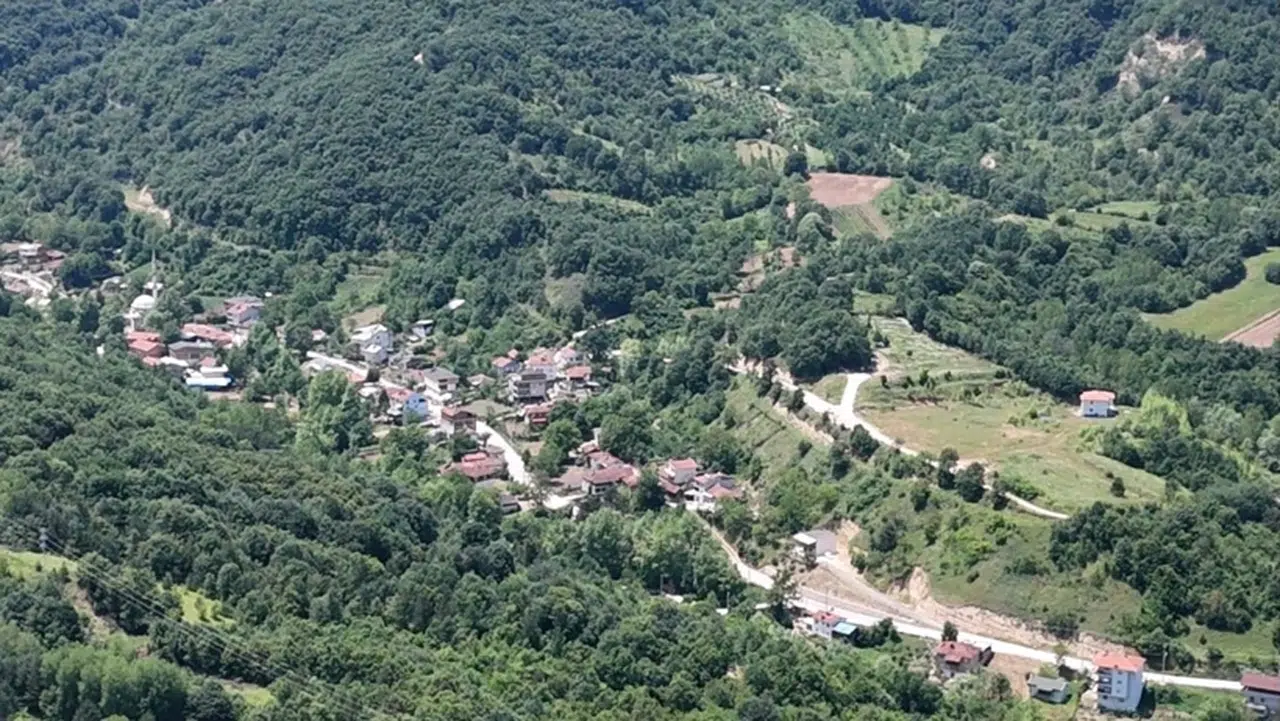 Bursa’daki 5,2 Kilometrelik Mahalle: Müzeyyen Senar Hilmiye’de Mi Doğdu? Bursa’daki 5,2 Kilometrelik Mahalle: Müzeyyen Senar Hilmiye’de Mi Doğdu?