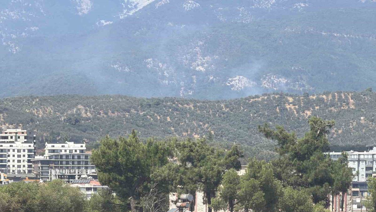 Edremit’te Zeytinlikte Başlayan Yangın Kazdağı Milli Parkı’na Sıçradı