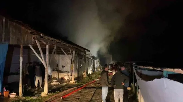 İnegöl’deki Büyükbaş Çiftliği Yangında Kullanılamaz Hale Geldi