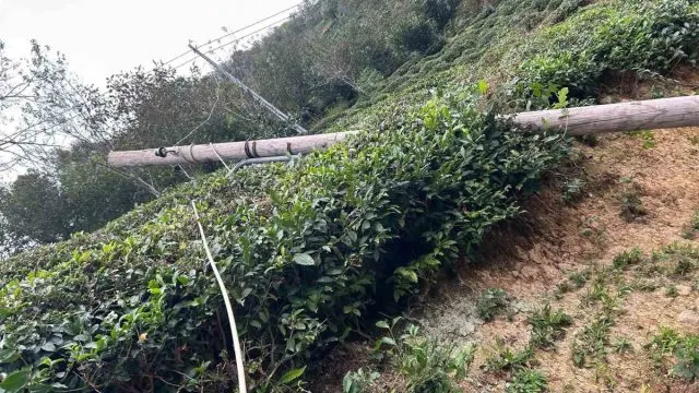 Artvin’de Kuvvetli Rüzgâr Üç İlçede Hasara Yol Açtı