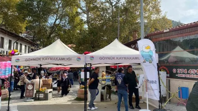 Göynük'te Siberay Standında Dijital Güvenlik Bilgilendirmesi Göynük'te Siberay Standında Dijital Güvenlik Bilgilendirmesi