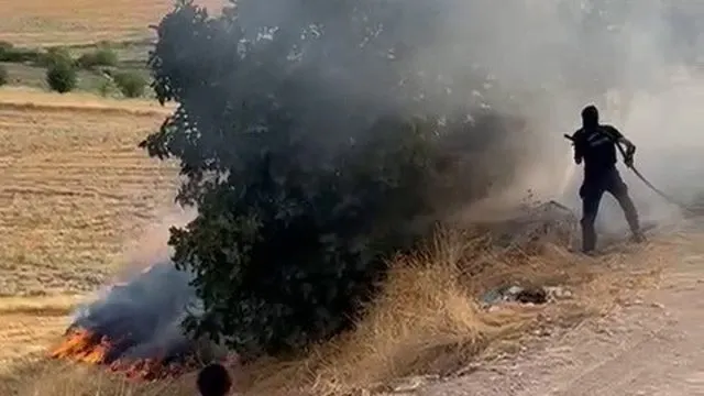 Kuştepe Köyündeki Bahçe Yangınında Ağaçlar Zarar Gördü