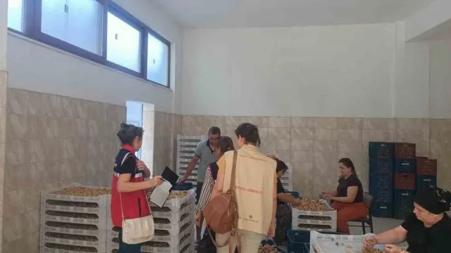 Bozdoğan’da Aydın İ̇ncirinin Kalitesi İ̇çin Denetim Mesaisi Bozdoğan’da Aydın İ̇ncirinin Kalitesi İ̇çin Denetim Mesaisi
