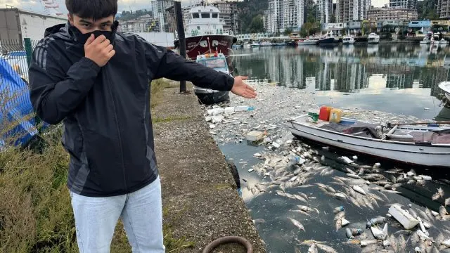 Rize Pazar’da Palamut İsrafı Tepki Çekti