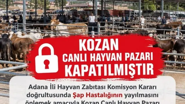 Kozan Canlı Hayvan Pazarı Şap Tedbiriyle Kapatıldı Kozan Canlı Hayvan Pazarı Şap Tedbiriyle Kapatıldı