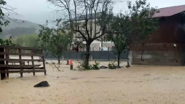 Sakarya Kocaali'de Sel İki Tavuk Kümesini Sular Altında Bıraktı