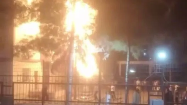 Diyarbakır’da Havai Fişek Ağacı Tutuşturdu