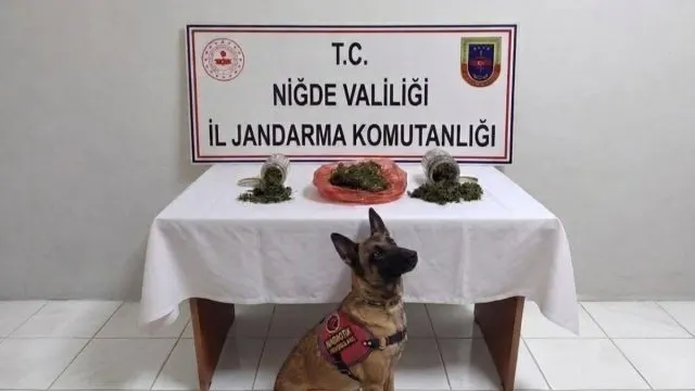 Niğde'de Güvenlik Operasyonlarında 51 Aranan Kişi Yakalandı Niğde'de Güvenlik Operasyonlarında 51 Aranan Kişi Yakalandı