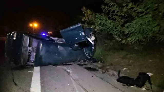 Sakarya’da Panelvana Bakarken Tırın Çarptığı Sürücü Yaşamını Yitirdi