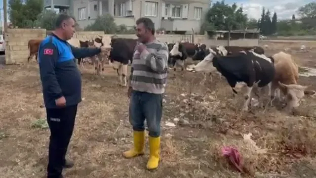 Gaziantep'te İ̇slahiye'de Kaybolan 17 Büyükbaş, Küpe Bilgileriyle Sahibine Teslim Edildi