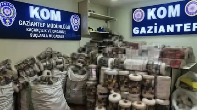 Gaziantep'te Depodan 14 Bin Paket Kaçak Sigara Çıktı