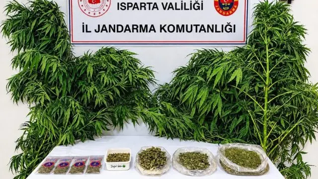 Isparta'da Jandarmadan Uyuşturucu Operasyonları: 62 Şüpheli Yakalandı