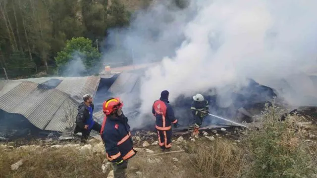 Heybetepe Köyünde Yangın: 4 Evin Çatısı Zarar Gördü Heybetepe Köyünde Yangın: 4 Evin Çatısı Zarar Gördü