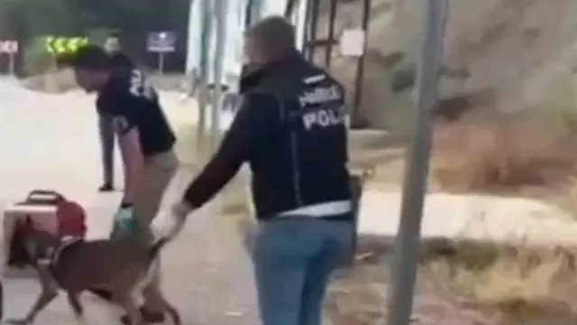 Sinop Boyabat'ta Uyuşturucu Operasyonunda 3 Şüpheli Tutuklandı