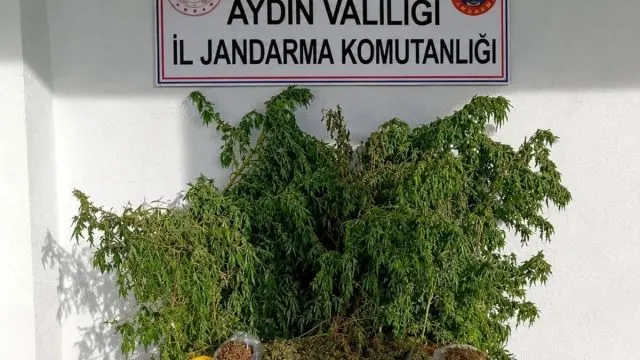 İncirliova'da Ev Aramasında Esrar Ve Kenevir Ele Geçirildi İncirliova'da Ev Aramasında Esrar Ve Kenevir Ele Geçirildi