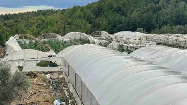 Manavgat'ta Hortum Seraları Vurdu: 6 Üreticinin Ürünleri Zarar Gördü
