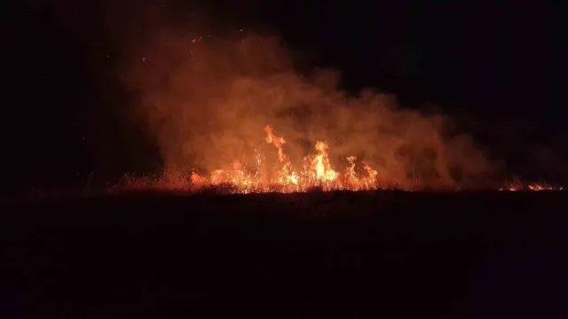 Adıyaman-Kahta Kara Yolundaki Anız Yangınında Ağaçlar Zarar Gördü Adıyaman-Kahta Kara Yolundaki Anız Yangınında Ağaçlar Zarar Gördü