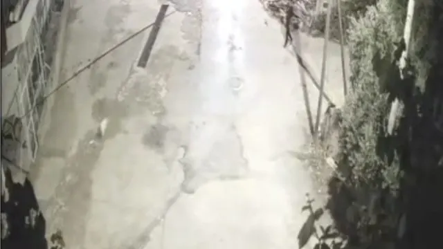 Motosikletli İki Kişi, Kadirli’de Kovaladıkları Köpeği Evinden Aldı