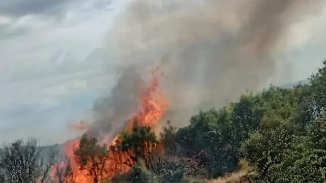 Ayvacık Yakınlarındaki Makilik Yangını Söndürüldü Ayvacık Yakınlarındaki Makilik Yangını Söndürüldü