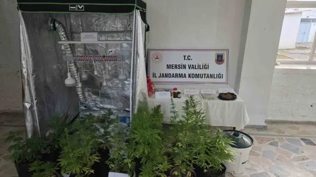 Anamur'da Ev Baskınında 51 Hint Keneviri Ele Geçirildi