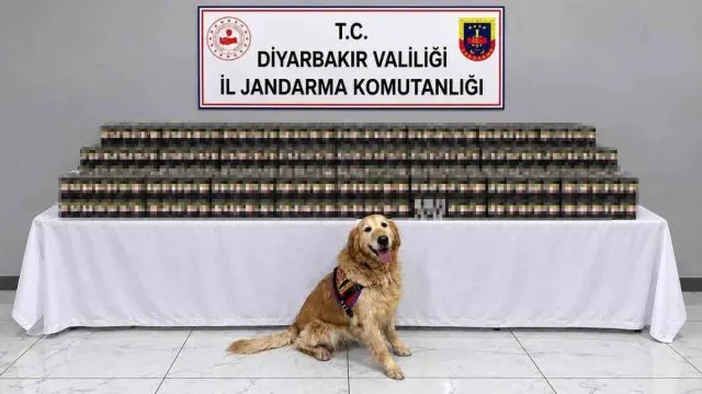 Diyarbakır'da Kaçakçılık Operasyonlarında 10 Bin 895 Paket Sigara Ele Geçirildi Diyarbakır'da Kaçakçılık Operasyonlarında 10 Bin 895 Paket Sigara Ele Geçirildi