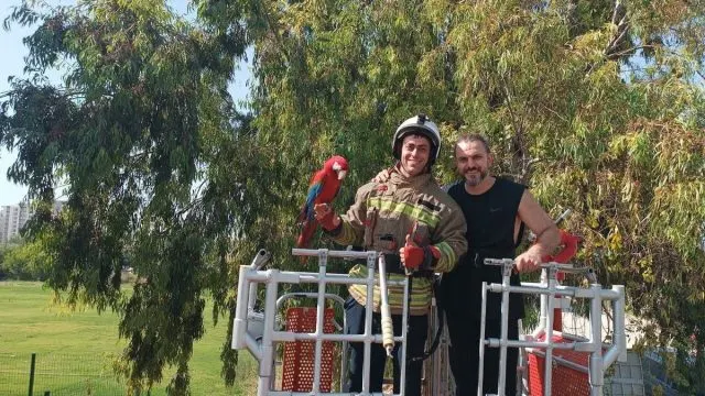 İskenderun’da Ağaçta Mahsur Kalan Papağan Kurtarıldı