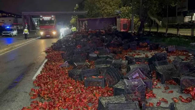 Tekkeköy'de Devrilen Kamyondan 10 Ton Biber Yola Saçıldı